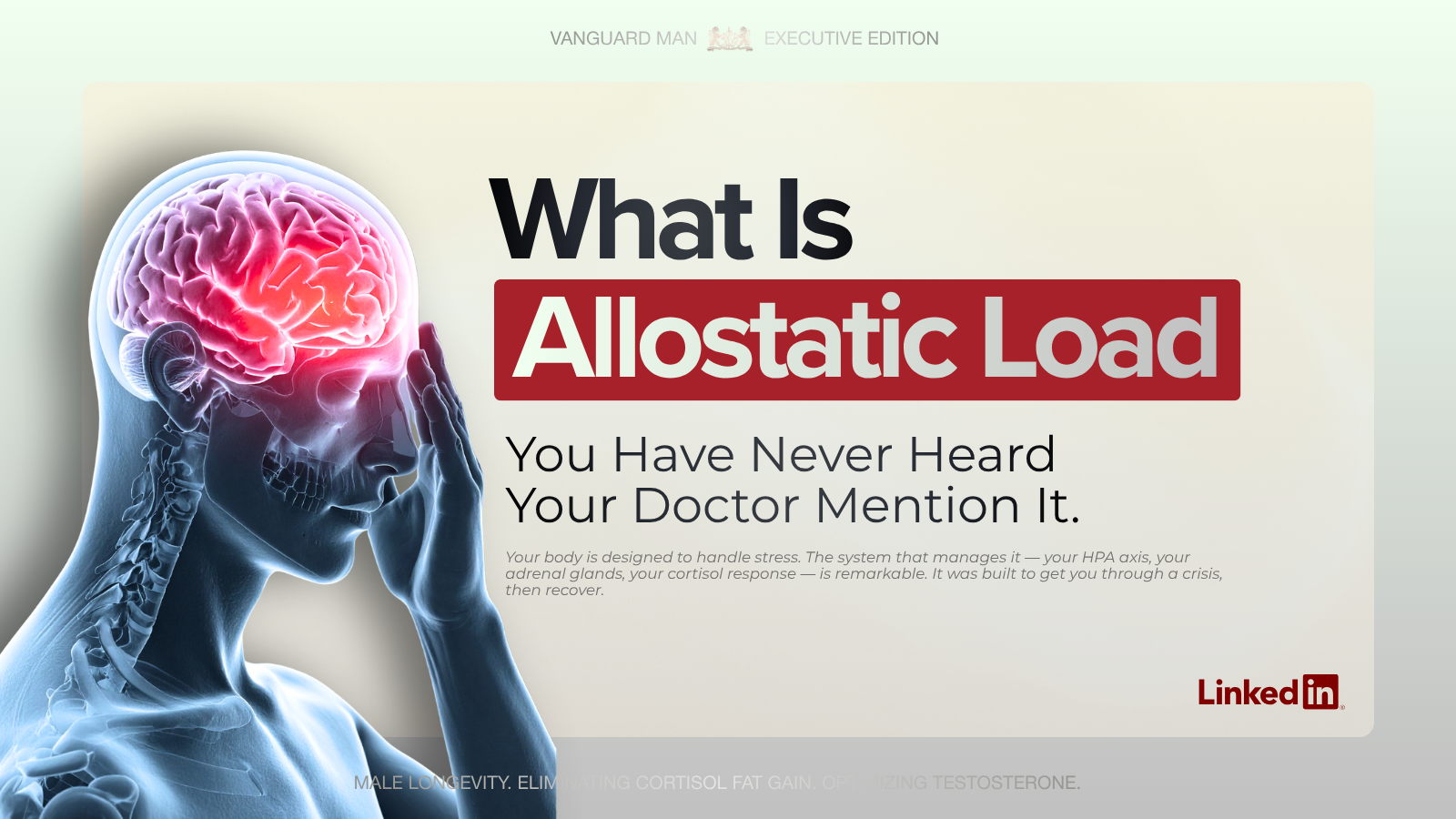 What is allostatic load — your doctor never mentions it